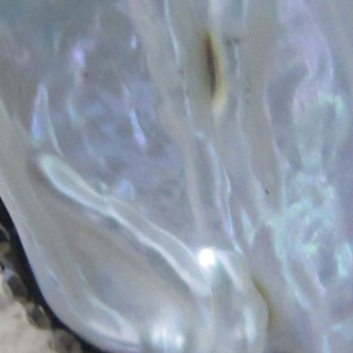 FRESHWATER PEARL CUFF RING