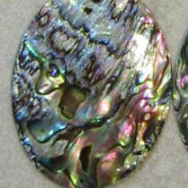ABALONE OVAL EARRING