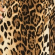 Leopard Print V-Neck Hi-Lo Top