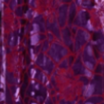 Velvet Purple Burnout Jacket