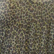 Slip-On Mesh Leopard Sleeves